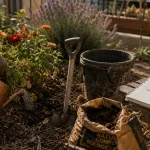 Que planter en juillet août fleurs : dahlias et zinnias arrosés sous paillis